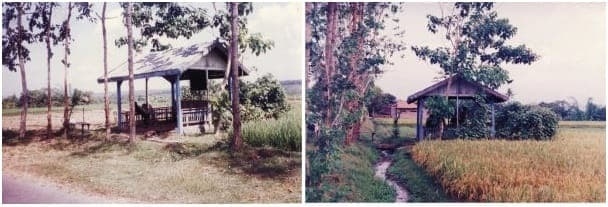 Gubuk tempat jenazah Marsinah ditemukan di wilayah Desa Jegong, Kecamatan Wilangan, Nganjuk, Jawa Timur. Foto diambil pada November 1993. (Foto: majalahsedane.org)