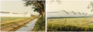 Kompleks pabrik PT CPS (Catur Putra Surya), di Desa Siring, Kecamatan Porong, Sidarjo, Jawa Timur, dalam foto yang diambil pada Agustus 1993. Ironisnya pabrik ini menjadi salah satu dari 14 pabrik yang kali pertama terkubur lumpur akibat aktivitas eksplorasi PT Lapindo Brantas pada Juni 2006. (Foto: majalahsedane.org)