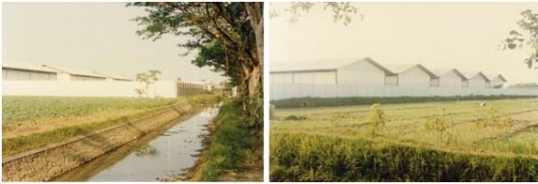 Kompleks pabrik PT CPS (Catur Putra Surya), di Desa Siring, Kecamatan Porong, Sidarjo, Jawa Timur, dalam foto yang diambil pada Agustus 1993. Ironisnya pabrik ini menjadi salah satu dari 14 pabrik yang kali pertama terkubur lumpur akibat aktivitas eksplorasi PT Lapindo Brantas pada Juni 2006. (Foto: majalahsedane.org)